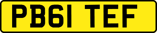PB61TEF