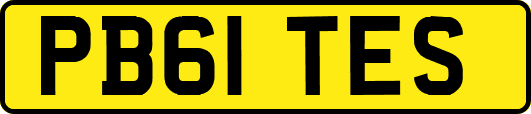 PB61TES