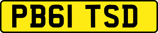 PB61TSD