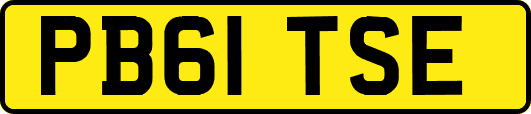 PB61TSE