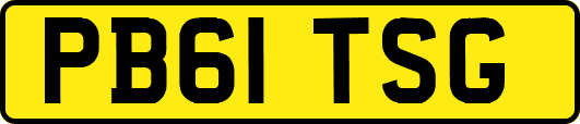 PB61TSG