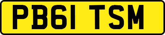 PB61TSM