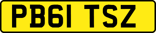 PB61TSZ