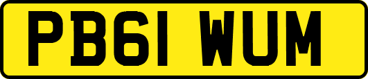 PB61WUM