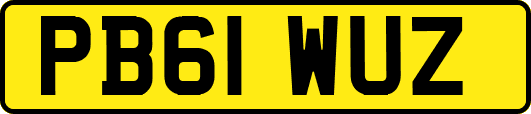 PB61WUZ
