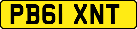 PB61XNT