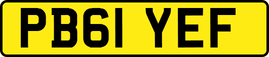 PB61YEF