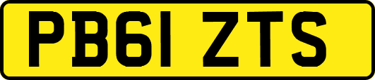 PB61ZTS