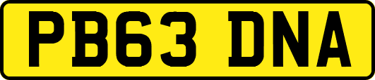 PB63DNA