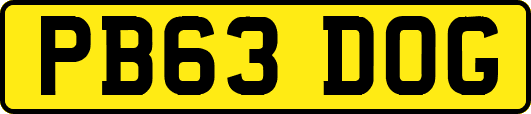 PB63DOG