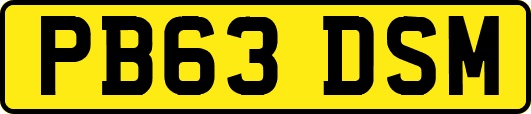 PB63DSM