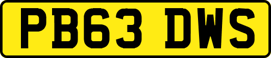 PB63DWS