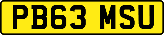 PB63MSU