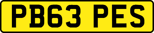 PB63PES