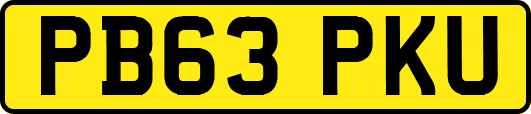 PB63PKU