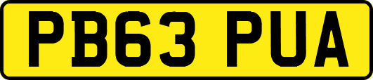 PB63PUA