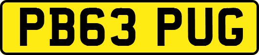 PB63PUG