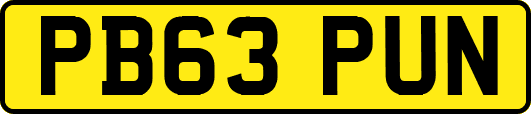 PB63PUN