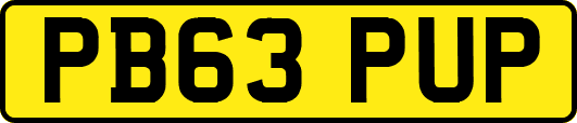 PB63PUP