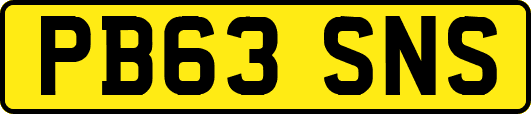 PB63SNS
