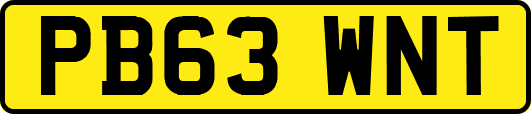 PB63WNT