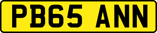 PB65ANN