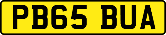 PB65BUA