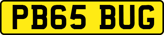 PB65BUG