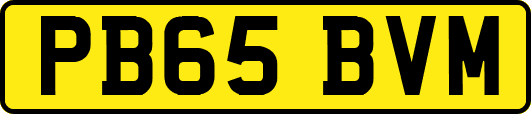 PB65BVM