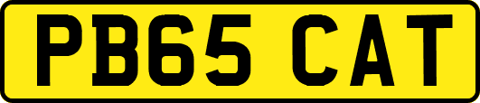 PB65CAT