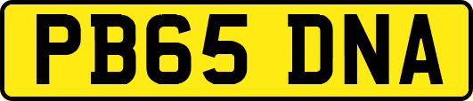 PB65DNA