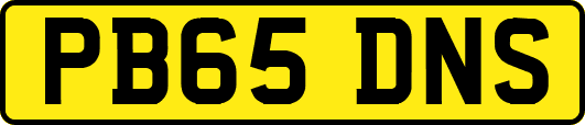 PB65DNS