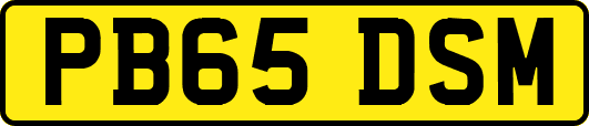 PB65DSM