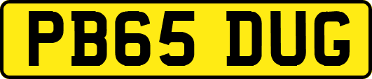 PB65DUG