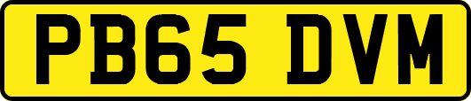PB65DVM