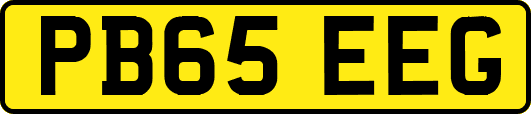PB65EEG