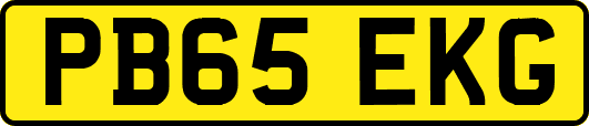 PB65EKG
