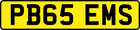 PB65EMS