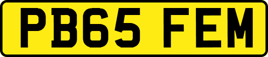 PB65FEM