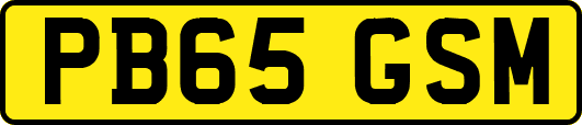PB65GSM