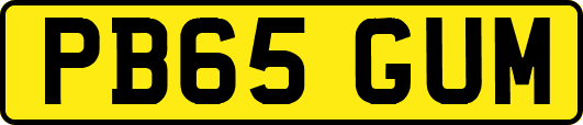 PB65GUM