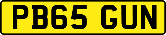 PB65GUN