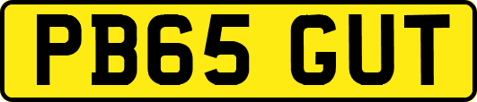 PB65GUT