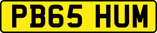 PB65HUM