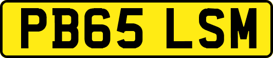 PB65LSM