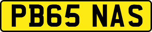 PB65NAS