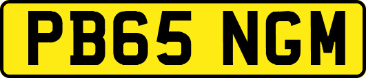 PB65NGM