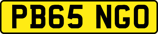 PB65NGO