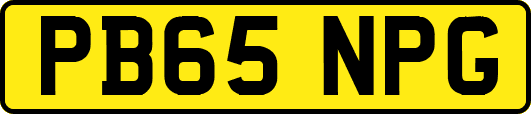 PB65NPG