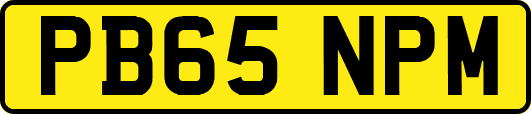 PB65NPM